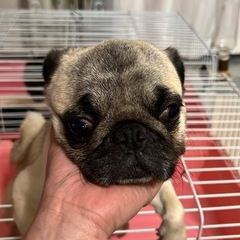 引退