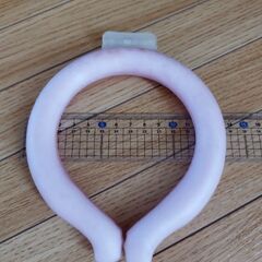 キッズ　アイスリングの画像