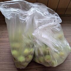 【梅の実】無農薬 約2kg の画像