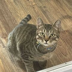 ☆里親希望の方探しております。
