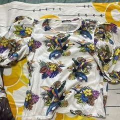 ザラZARAブラウス、t-シャツ、トップ3点セットの画像
