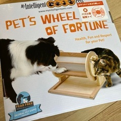 犬　猫　おやつ　知育の画像