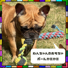 ワンちゃん　犬用おもちゃ【３個で１，０００円🐶】