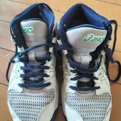 DUNKSHOT21㌢