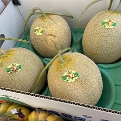 夕張IKメロン入荷したて☆