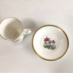 　X098 ROYAL WORCESTER/ロイヤルウースター カップ＆ソーサー 花柄 金彩 アンティーク 現状品の画像