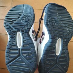 DUNKSHOT22.5㌢の画像