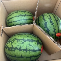 千葉県産🍉さんぶ小玉スイカ