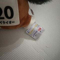 ウマ娘 トウカイテーオーの画像