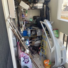 無料の画像