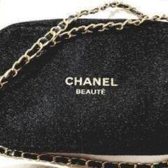 非常に入手困難‼️【非売品 CHANELバッグ兼ポーチ】正規品の画像