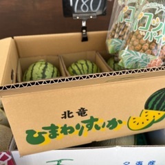 黄色い🍉＆沖縄パコット🍍初入荷✨