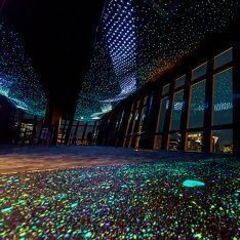 40・50代 ナイトタワー♪ ～1人参加～【芝公園】💖