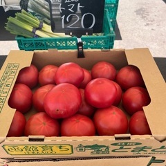 函館育ち🍅とまと