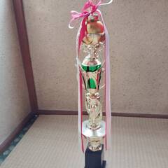 トロフィ　緑　空手の画像
