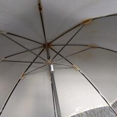 日傘の画像