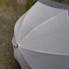 日傘の画像