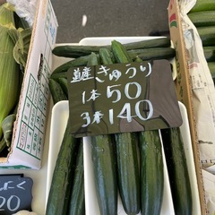 北海道産🥒きゅうり小売り販売します✨