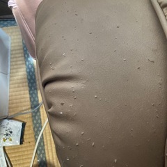 スリーミー2122の画像