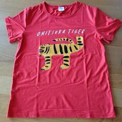 新品Tシャツ3着レディースMの画像