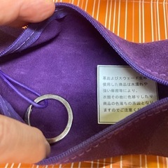 DALLAITI ダライッティ ポーチの画像