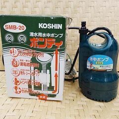 ☆中古品☆工進 水中ポンプ ポンディ SMB-20 動作品 清水...