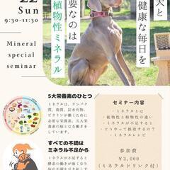 愛犬と 健康な毎日を！ 必要なのは 植物性ミネラル