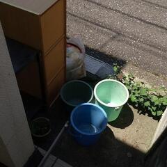 6/30で終了【無料でどうぞ】②の画像