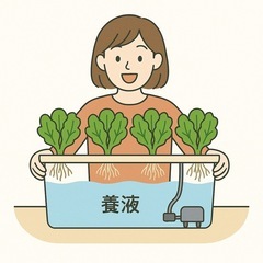 🌱【メンバー募集】埼玉県蓮田市で一緒に水耕栽培はじめませんか？🌿②