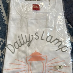レディースＴシャツ