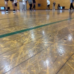✨バレー仲間募集中🏐