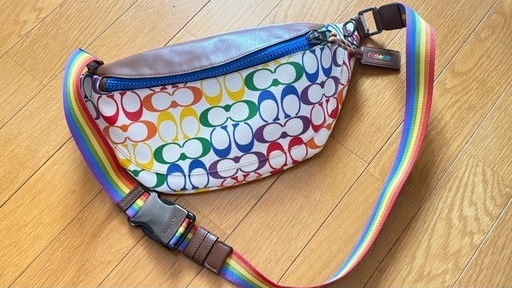 コーチ　ワーレン　シグネチャー　ボディバッグ　レザー　レインボー　美品