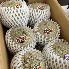 【在庫8玉】茨城県産🍈青肉アンデスメロン🉐特売開催中✨の画像