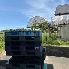 中古パレット
