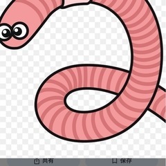 ドバミミズ