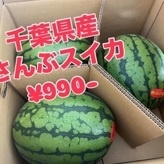 千葉県産🍉さんぶスイカ入荷しました✨