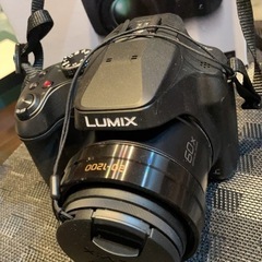 　Panasonic　LUMIX DC-FZ85D