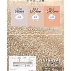 新品 1〜2人用　キャンプテント オールシーズン 簡単設営 軽量 UV 防災 アウトドア 前室後室の画像