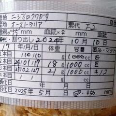 ニジイロクワガタ♂56mmペアの画像