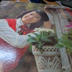 （中古LPレコード）ふたりの秘密‐西川峰子