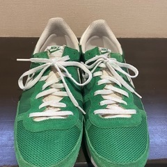 NIKEスニーカー28.0cmの画像
