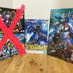 ガンプラ(値引相談可) 2点 まとめ売り 限定品、MG