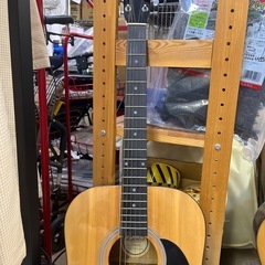 Lumber LFG10NA ギターの画像