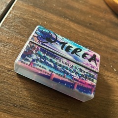 ☆TEREA ケース☆
