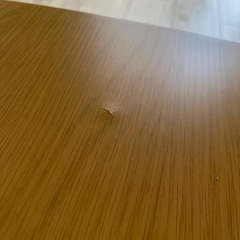 ニトリ　こたつ（タナコタ）の画像