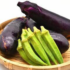 夏野菜の収穫スタッフの画像