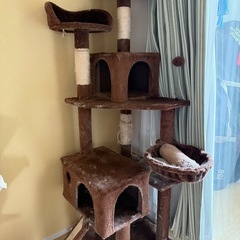 キャットタワーの画像