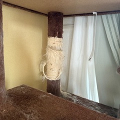 キャットタワーの画像