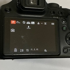 【値下げ交渉可能※本日（19日）または明日中に取引可能な場合は11000円にするのでメッセージください】Panasonic LUMIX DMC-FZ70 ※充電器は社外品の画像