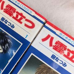 「八雲立つ」1〜14巻＋17巻：樹なつみの画像